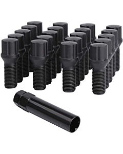 Black Lug Bolts