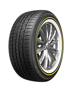 Custom Built Radial XIV