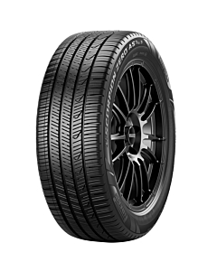 Pzero All Season Plus 3